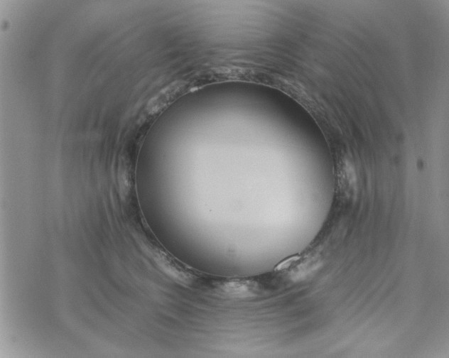 X0000074330566200609152100