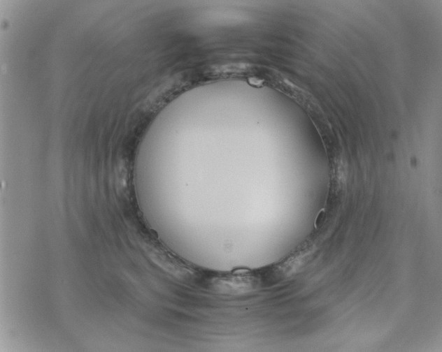 X0000074330567200609152100