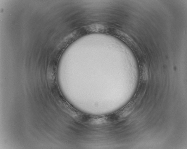 X0000074330569200609152100