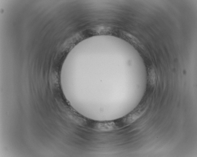 X0000074330571200609152100