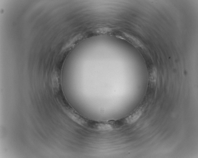 X0000074330572200609152100