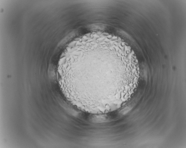 X0000074330573200609152100