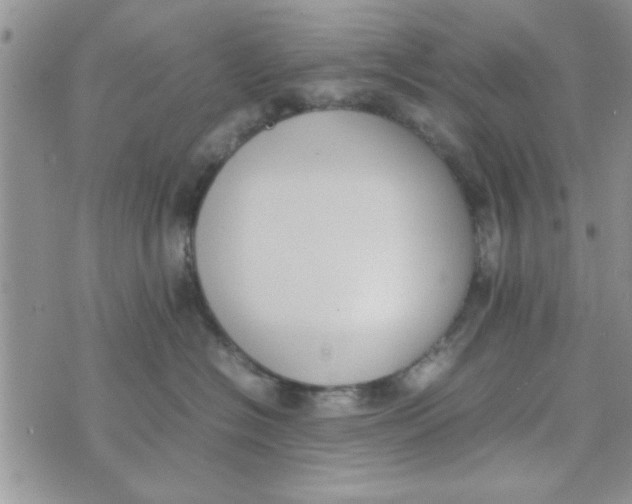 X0000074330574200609152100