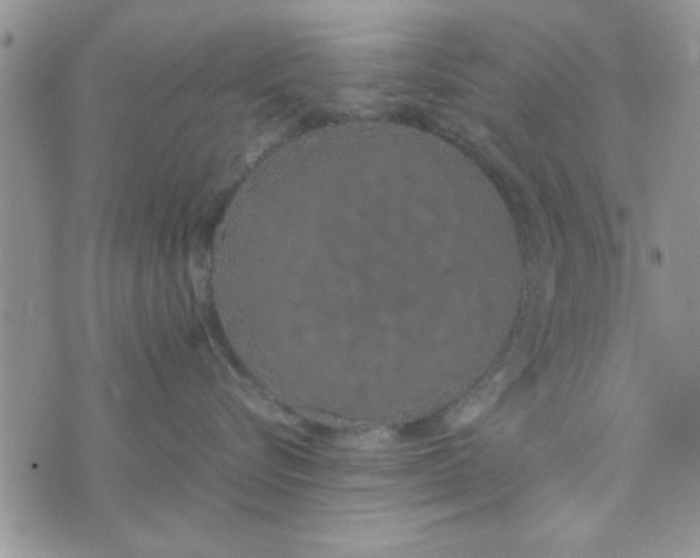 X0000074330576200609152100