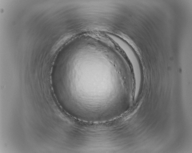 X0000074330577200609152059