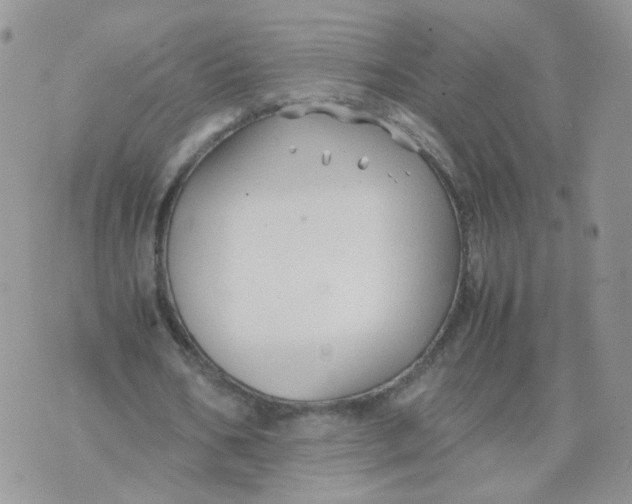 X0000074330578200609152059