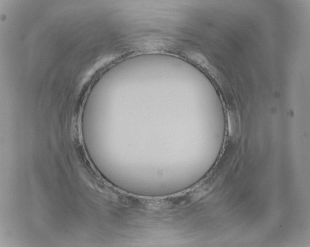 X0000074330579200609152059