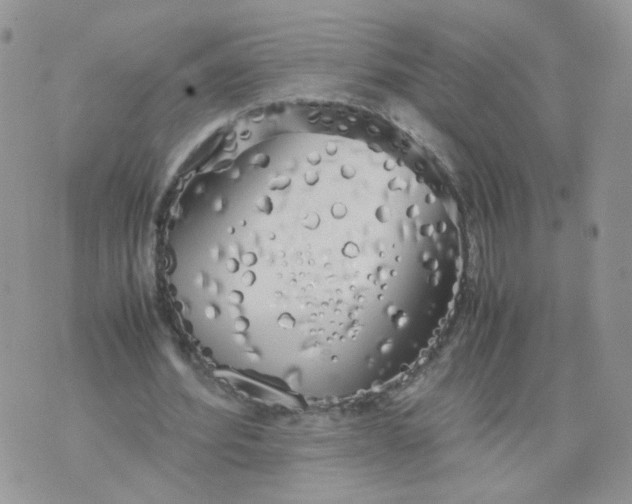 X0000074330580200609152059