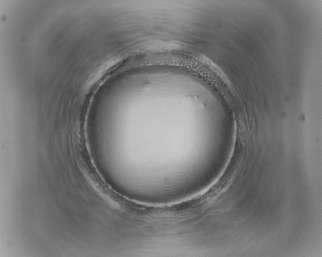 X0000074330581200609152059