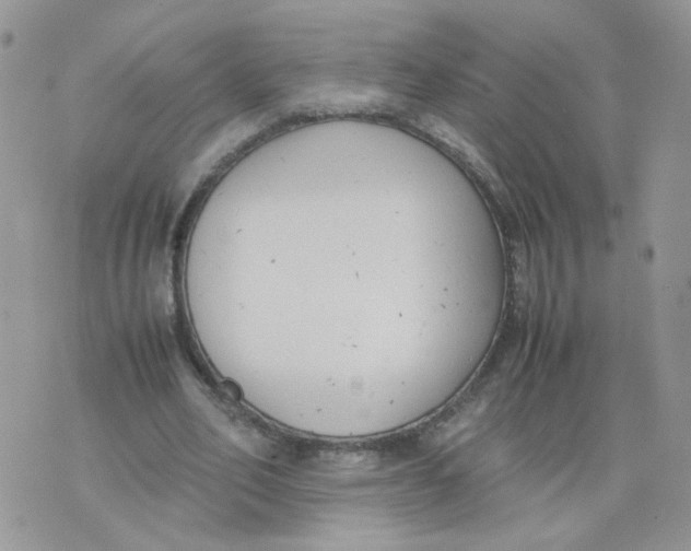 X0000074330582200609152059