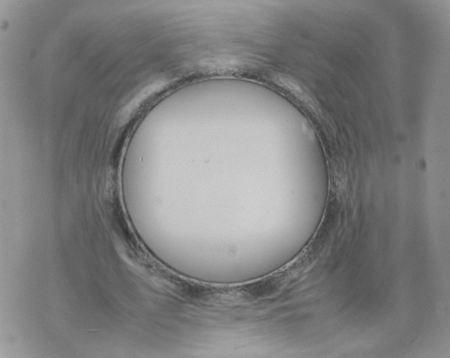 X0000074330583200609152059