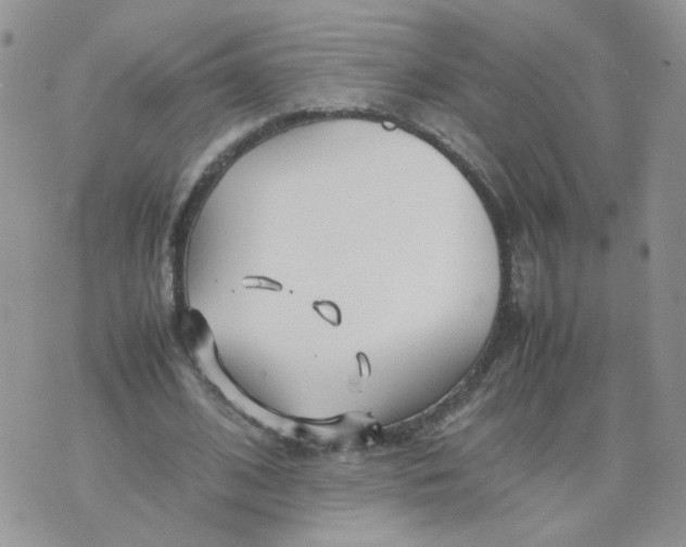 X0000074330584200609152059