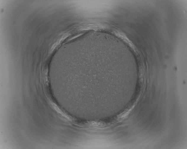 X0000074330585200609152059