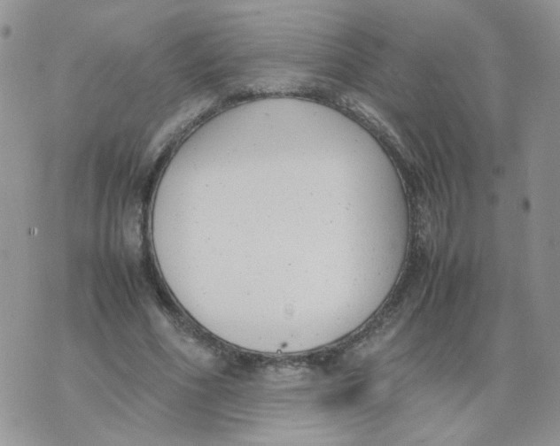 X0000074330586200609152059