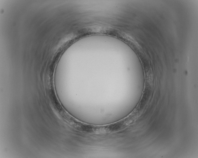 X0000074330587200609152059