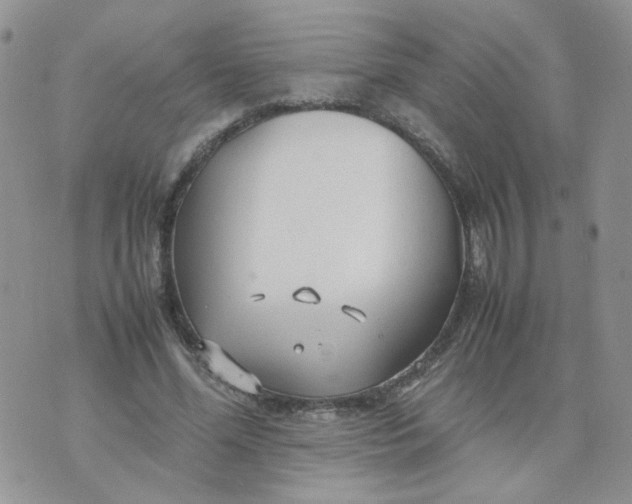 X0000074330588200609152059