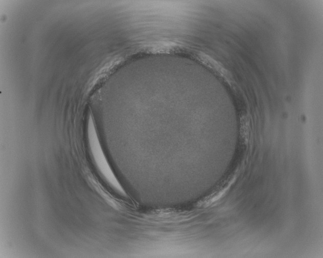 X0000074330589200609152059