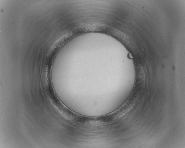 X0000074330590200609152059