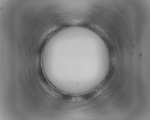 X0000074330591200609152059