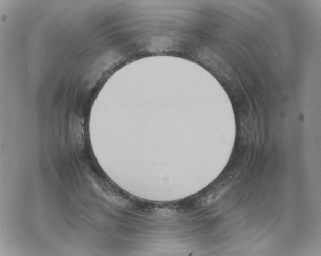 X0000074330592200609152059