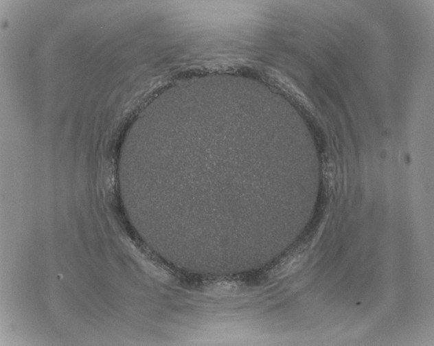 X0000074330593200609152059