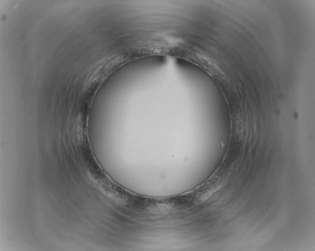 X0000074330594200609152059