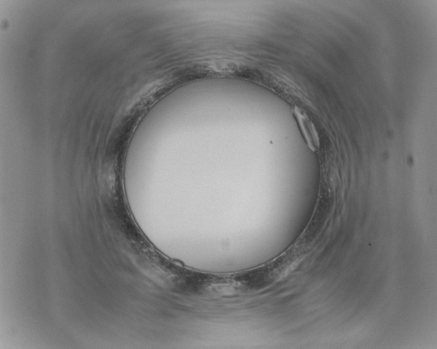 X0000074330595200609152059