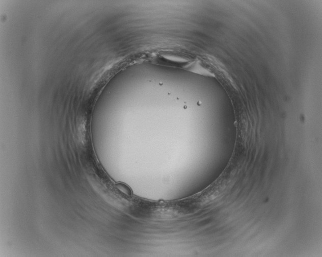 X0000074330596200609152059