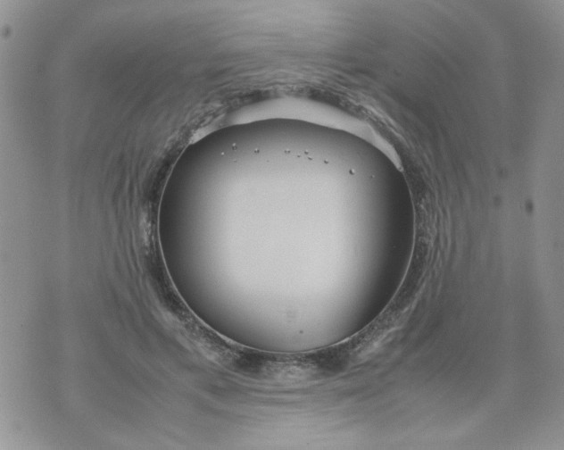 X0000074330597200609152059