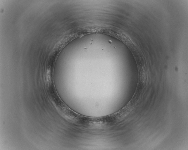 X0000074330598200609152059