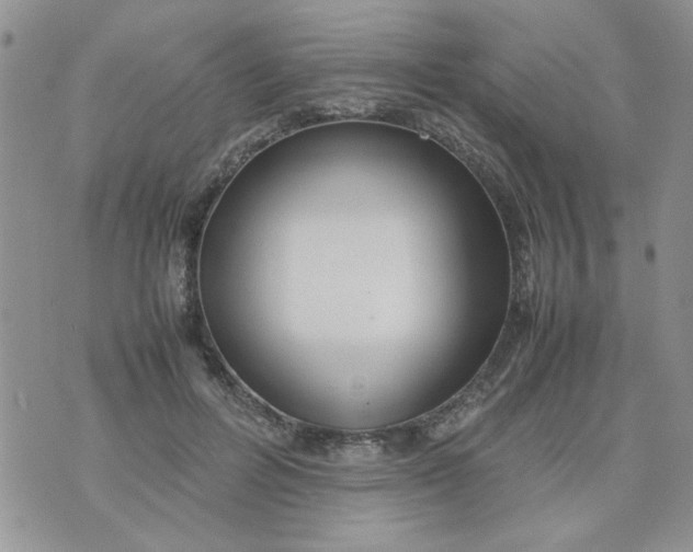 X0000074330600200609152059