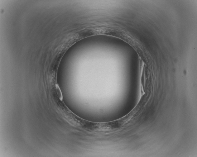 X0000074330601200609152059