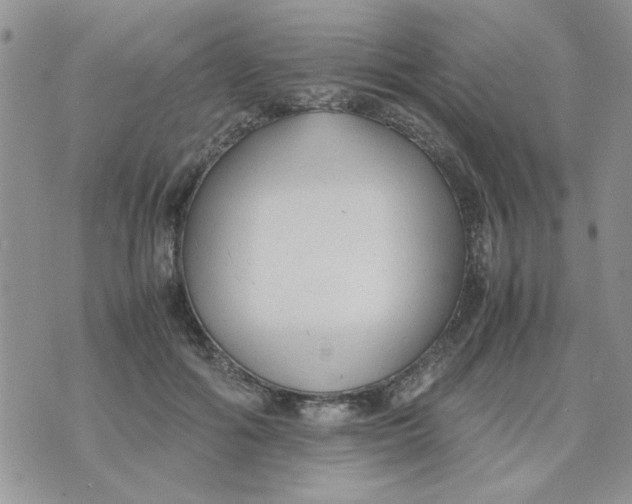 X0000074330602200609152059