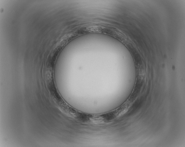 X0000074330603200609152059