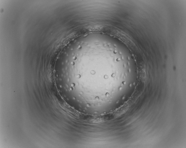 X0000074330604200609152059