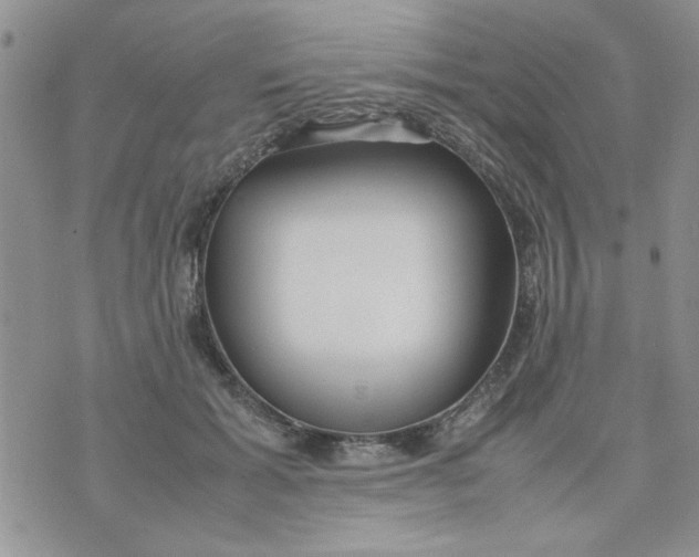 X0000074330605200609152059