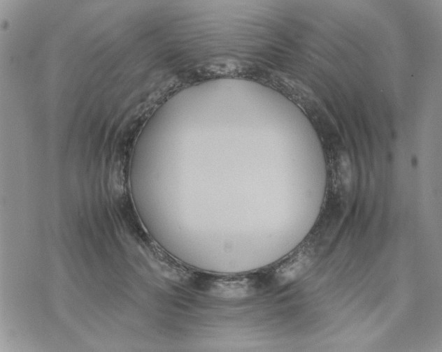 X0000074330606200609152059