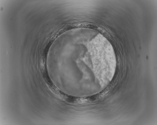 X0000074330607200609152059