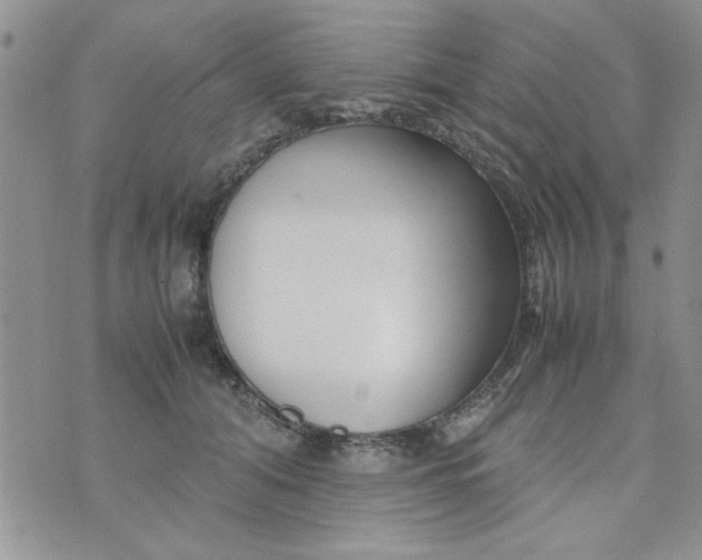 X0000074330608200609152058