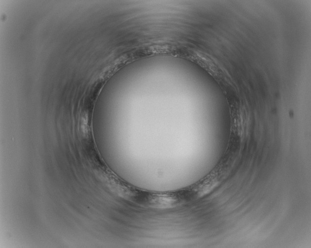 X0000074330610200609152058