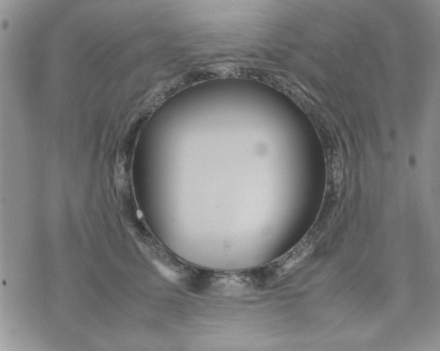 X0000074330611200609152058