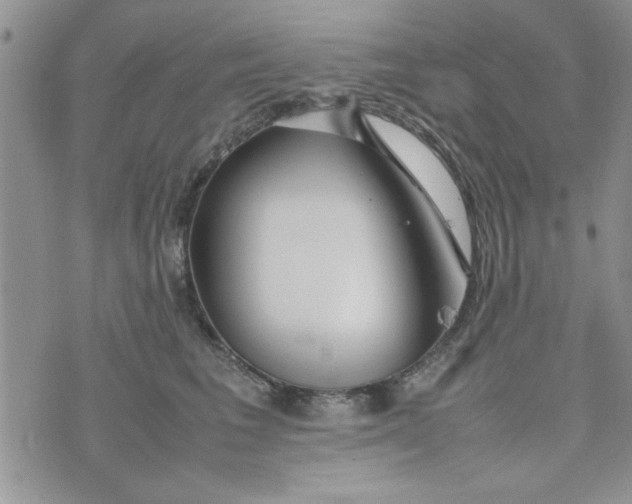 X0000074330613200609152058