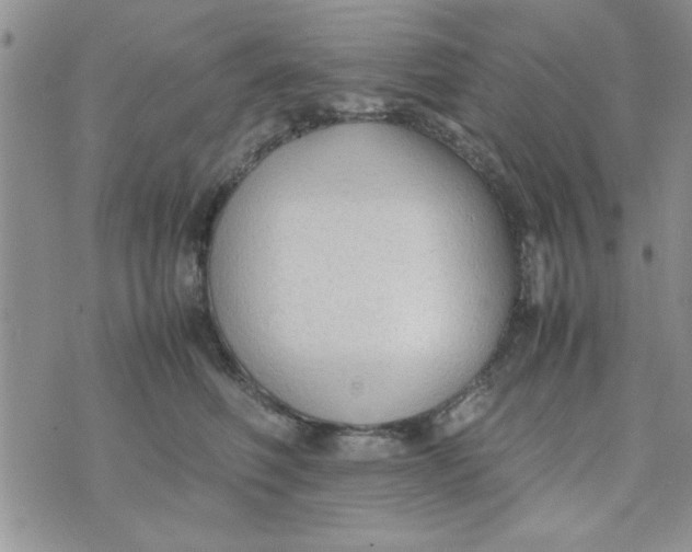 X0000074330614200609152058