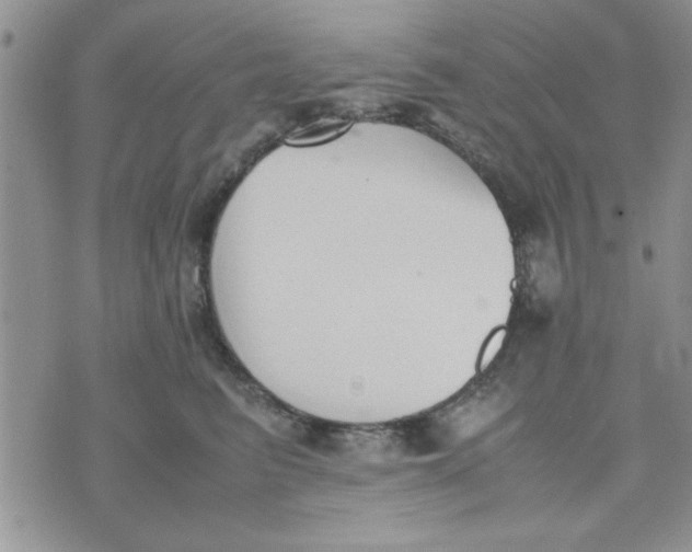 X0000074330615200609152058