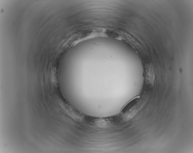 X0000074330616200609152058