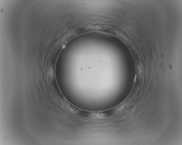 X0000074330617200609152058