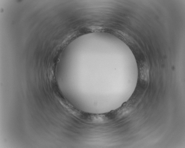 X0000074330618200609152058