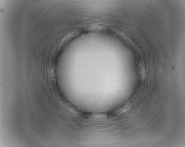 X0000074330619200609152058