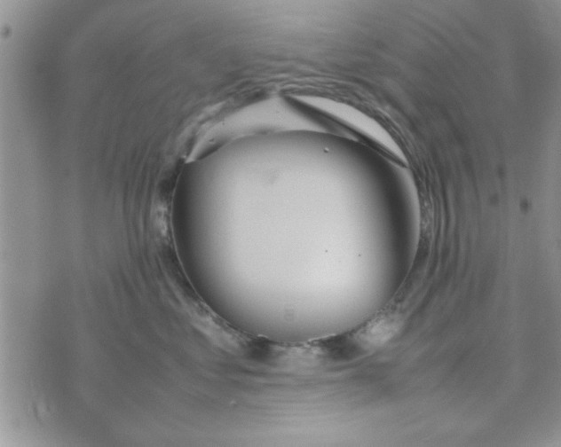 X0000074330621200609152058