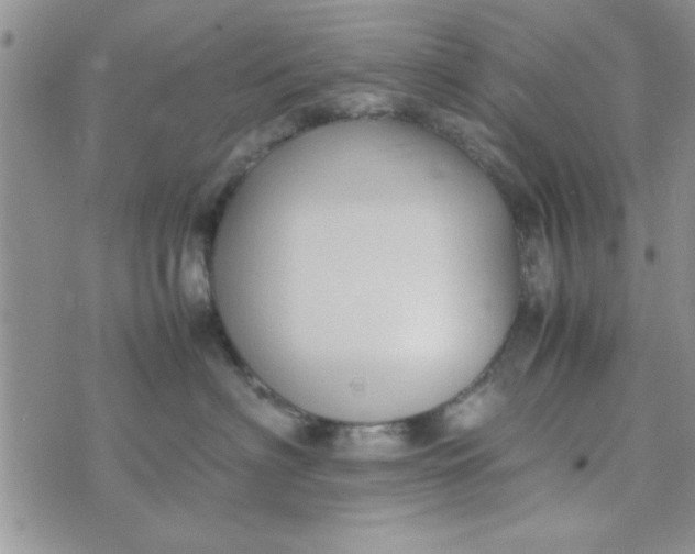 X0000074330622200609152058